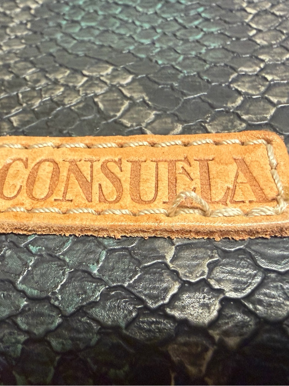 Consuela Rattler Wedge Crossbody - Picture 13 of 13